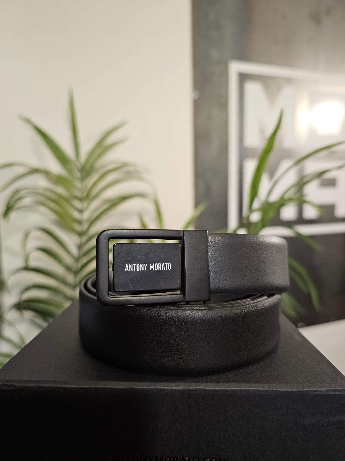 CINTURA FIBBIA TONDA