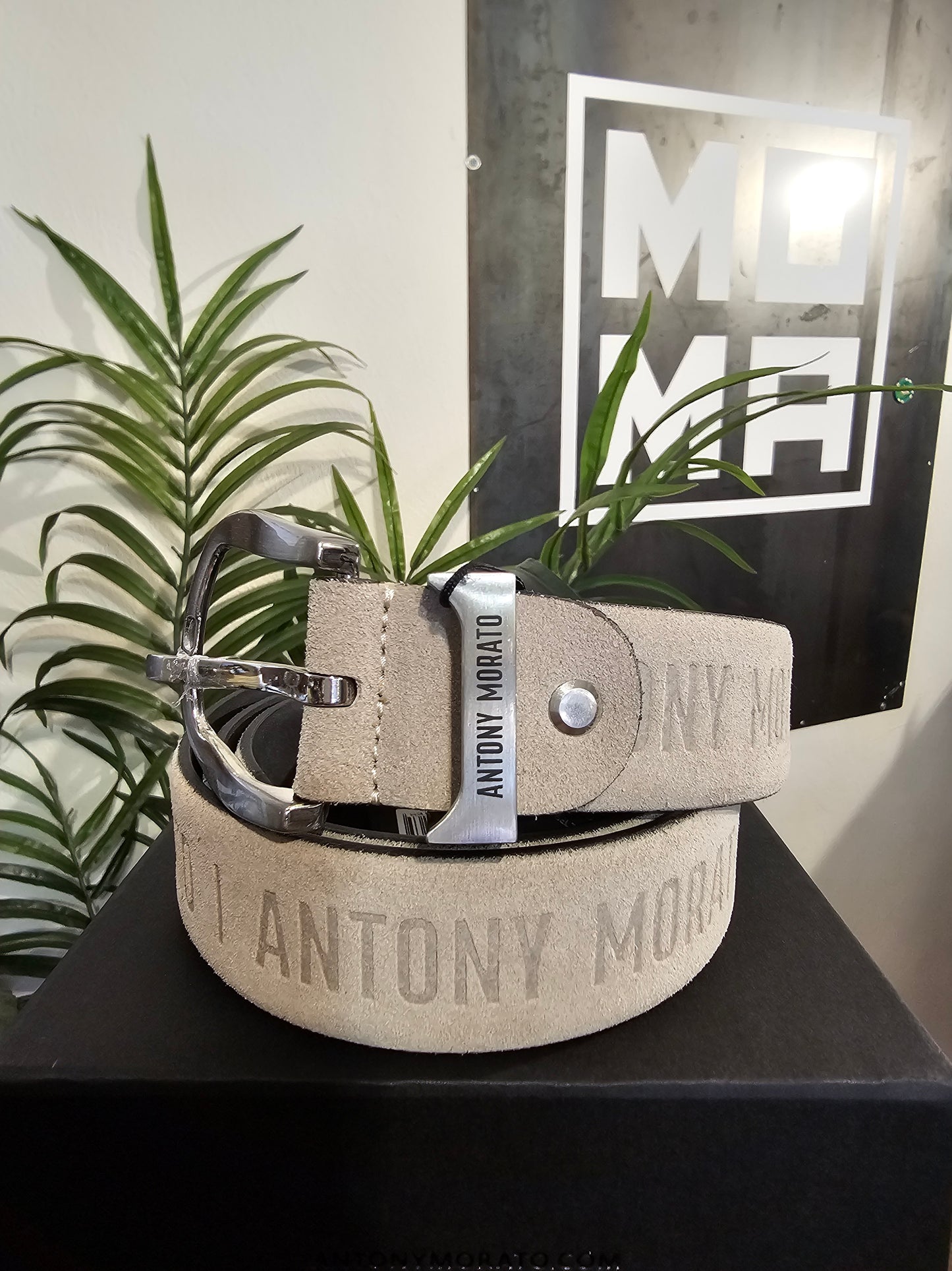 CINTURA ALCANTARA LOGATA